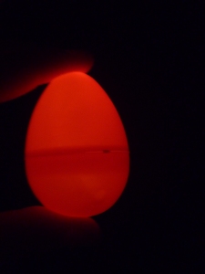 Actual glow egg