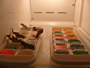 Add food coloring to ice cube trays, small animals, gems or toys for fun surprise.