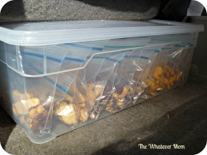 Keep snacks in car to ward off meltdowns on the road.